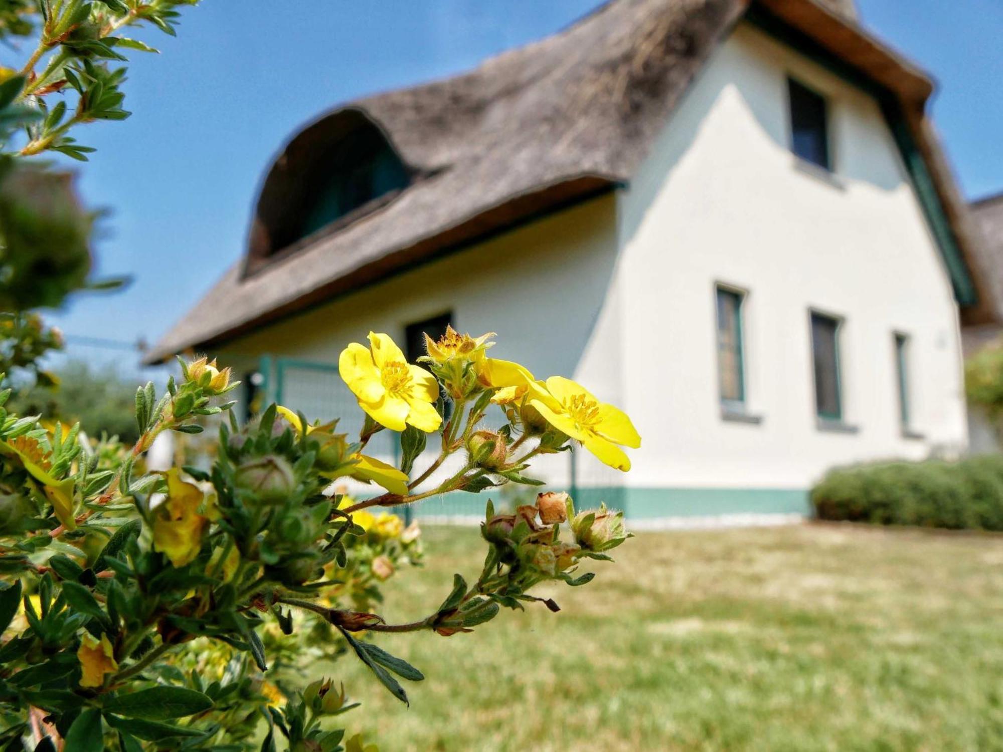 Scharmützelsee Ferienhaus